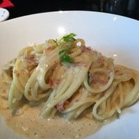 TRATTORIA CREATTA - 
