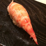 鮨 とかみ - 車海老　尾先まで綺麗！