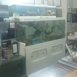 居酒屋 らくがき - 水槽