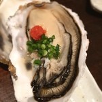 七伍屋 - きーかー