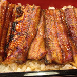  うなぎ川菊 - うな重 アップ