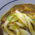 なか卯 - 【2015年12月】カレーうどん接写。