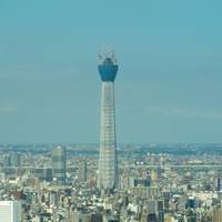 シグネチャー - ホテル38階トイレから絶景！スカイツリーが見えます。