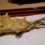 てんぷら 近藤 - メゴチ