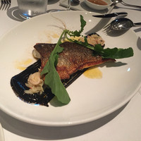 THE COSMOPOLITAN GRILL BAR TERRACE - 