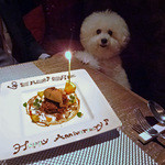 BANQUE -  November 11, 2015