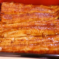 うなぎ川勢 - 極上うなぎ5,000円