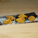 こま田 - ☆ウニちゃん準備ＯＫ☆