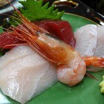 民宿 海楽荘 - お刺身