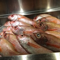 のどぐろ専門 銀座 中俣 - 