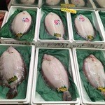 塩釜仲卸市場 マイ海鮮丼コーナー - ナメタガレイがいっぱいありました～～！