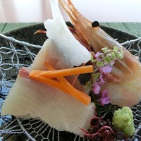 日本食 雅庭 - 