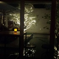 CICADA - 中庭