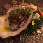 il tram - 牡蠣のプレコット