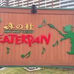 ピーターパン - 