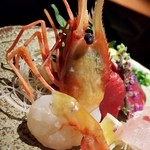 のどぐろ専門 銀座 中俣 - 