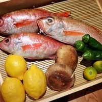 のどぐろ専門 銀座 中俣 - 