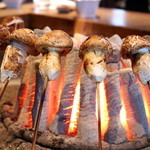 柳家 - チベット産松茸