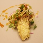 T.N - 明石産黒鯛のフリット　カリフラワーのブレア