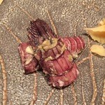 すし家 - H27.12 シャコ