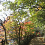 神戸にしむら珈琲店 - ここお気に入り～