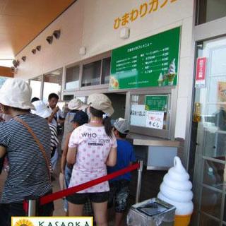 ひまわりカフェ_2