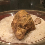 よろにく - 2015/12_アルバ産白トリュフ