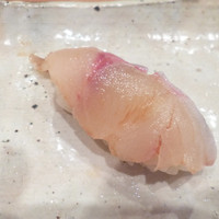 月の木 - 関アジ
