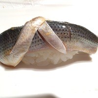 鮨 割烹 福松 三鷹店 - 本日の一番、小肌です
