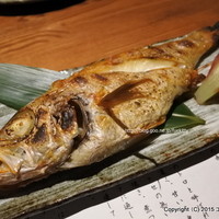 のどぐろ専門 銀座 中俣 - 