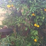 料亭 まつむら - 