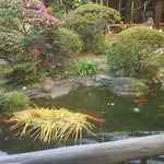 池に鯉がいるお庭