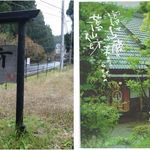 蕎仙坊 - 蕎仙坊（静岡県裾野市）食彩品館.jp撮影