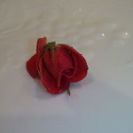 Toshi Yoroizuka - ケーキの薔薇