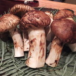松川 - おお～～～～テーブルに最高級の松茸がのびのびと！