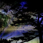 茶寮 八翠 - テラス席から。　