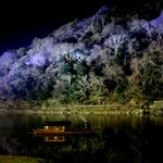 茶寮 八翠 - テラス席から。　嵐山