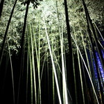 茶寮 八翠 - 夜の竹林