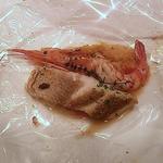 パリゴー - 鯛と海老のオーブン焼き