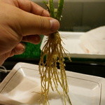 宝寿司分店 - 三関セリの天ぷら