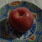 小鹿 - 後ろから失礼しますね