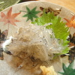 楽座 - 生しらすは好きです。（27.12月）