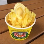 Dole Plantation - 