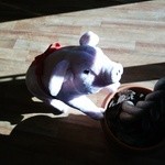 かつサンド工房 PANTON - 相変わらずかわいいピンクの豚