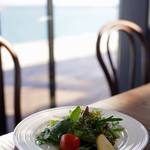 パスタ フレスカ ダンメン - ランチサラダは地元農家の新鮮な美味しいさ