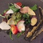 パスタ フレスカ ダンメン - コース　サラダ