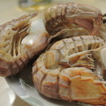 鮮魚 菜菜魚魚 - 蝦蛄