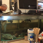 鮮魚 菜菜魚魚 - 水槽