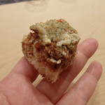 初音鮨 - 鳥取境港松葉ガニ・セイコガニ