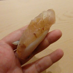 初音鮨 - 和歌山天然シマアジ(南紀串本のシマアジ）